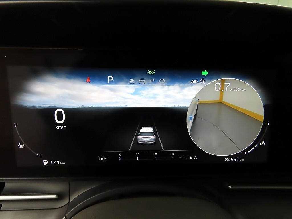 KIA Carnival - Vista 8
