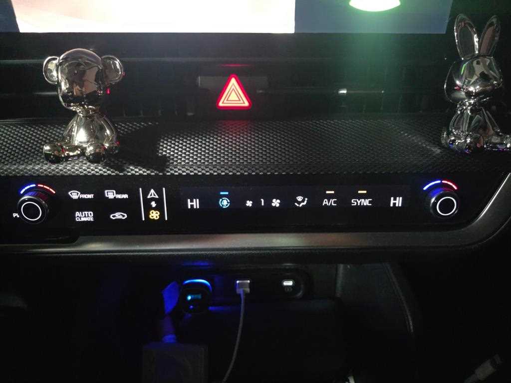 KIA Sportage - Vista 12