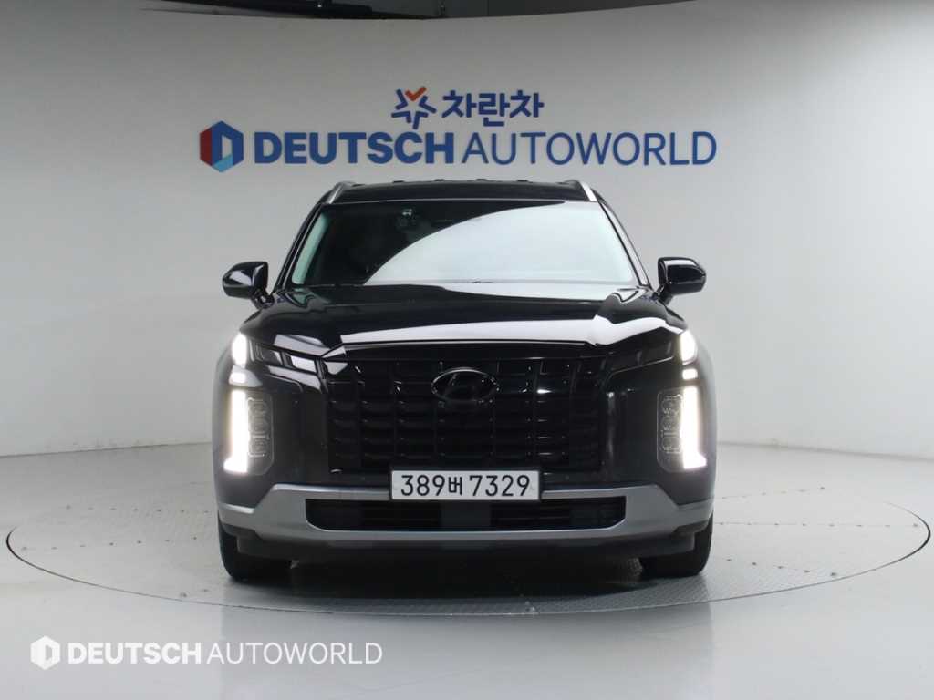 HYUNDAI Palisade - Vista 3