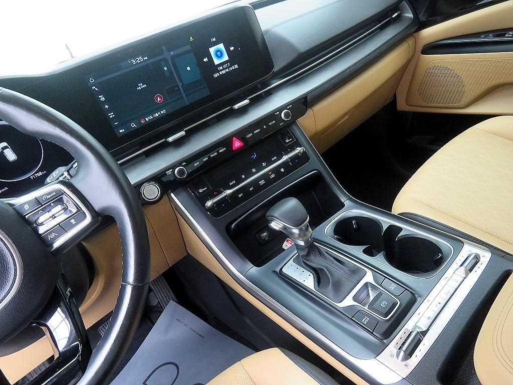 KIA Carnival - Vista 11