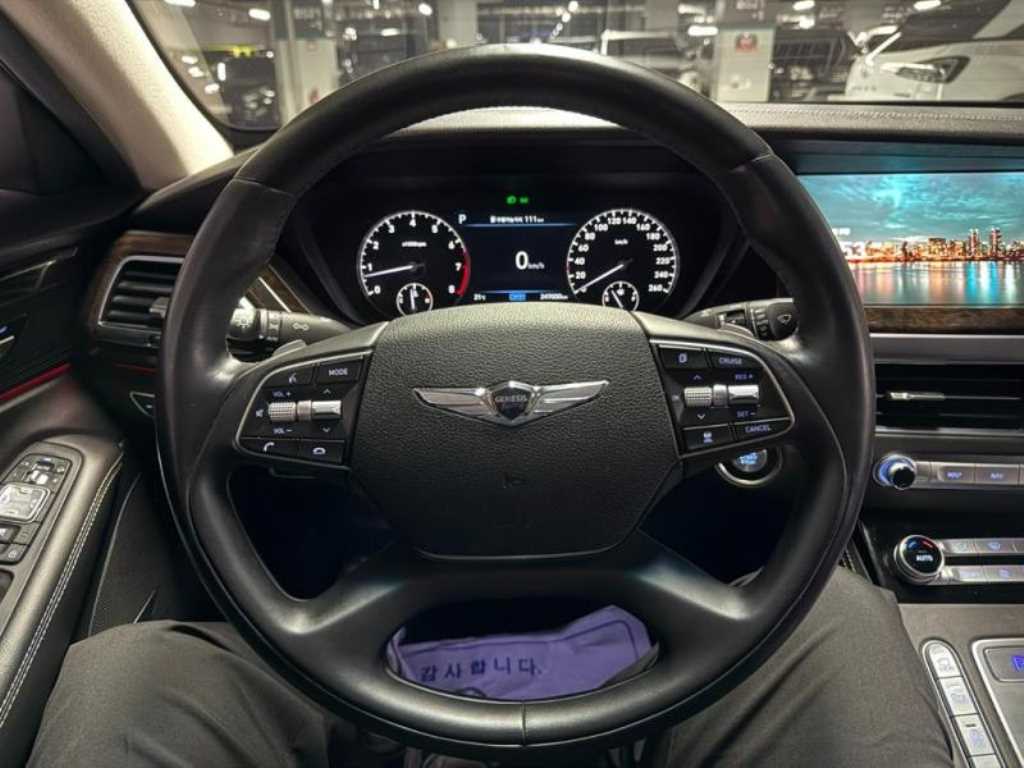 Genesis G90 - Vista 9