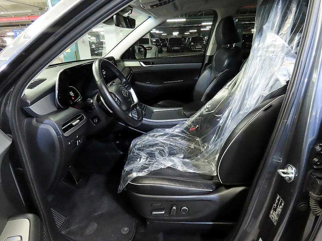HYUNDAI Palisade - Vista 6