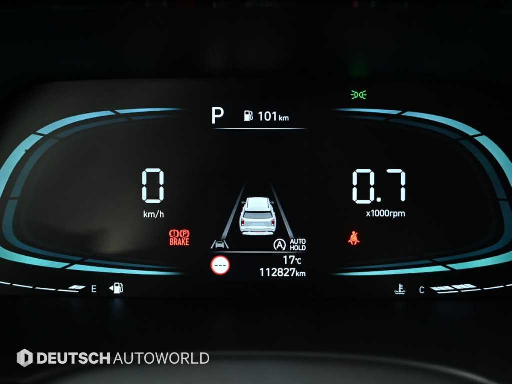 HYUNDAI Palisade - Vista 8