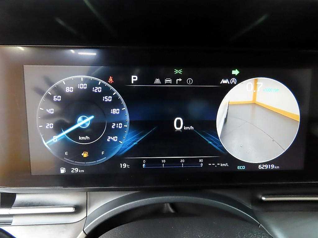 KIA Carnival - Vista 8