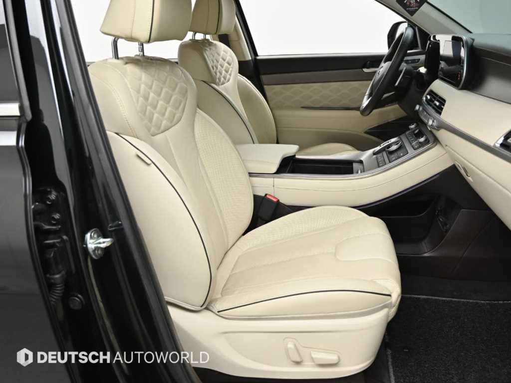 HYUNDAI Palisade - Vista 10