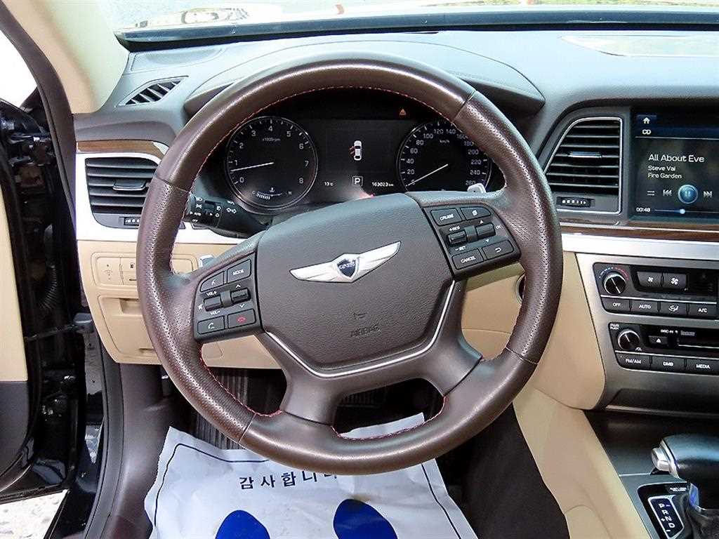 HYUNDAI Genesis - Vista 8