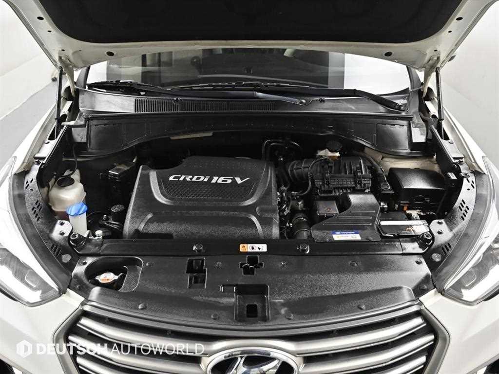 HYUNDAI Maxcruz - Vista 6