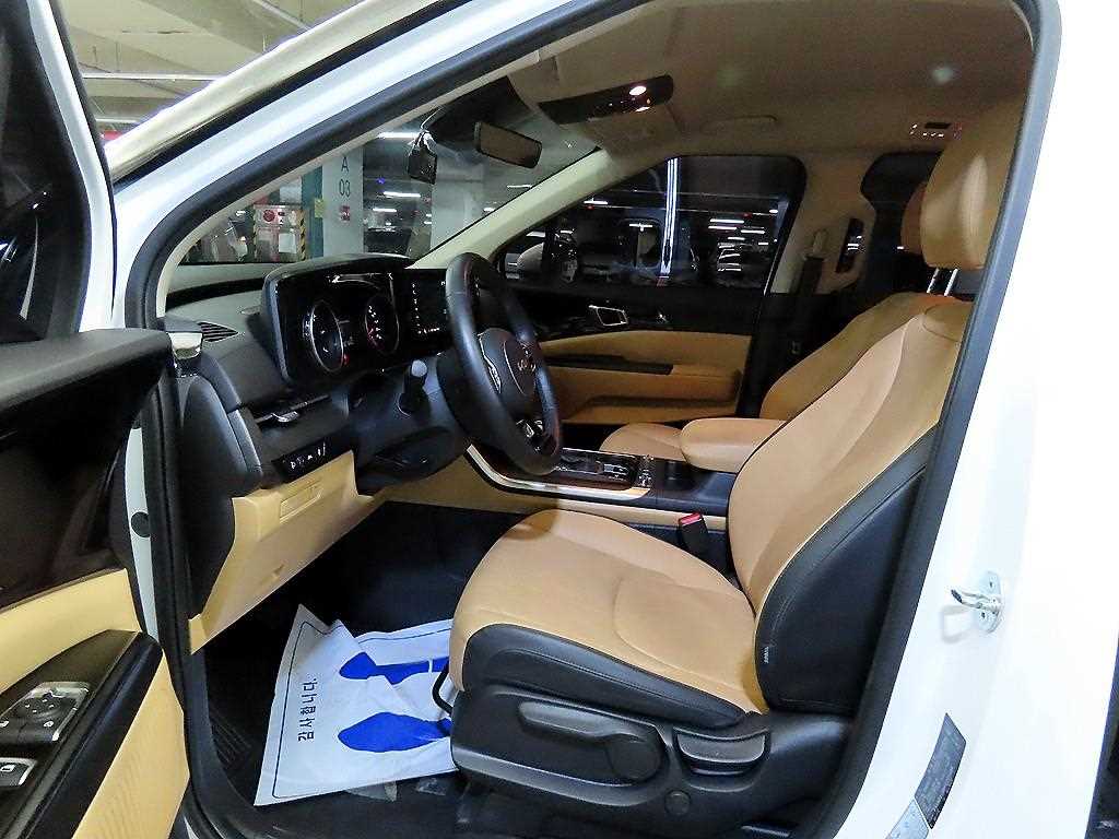 KIA Carnival - Vista 6
