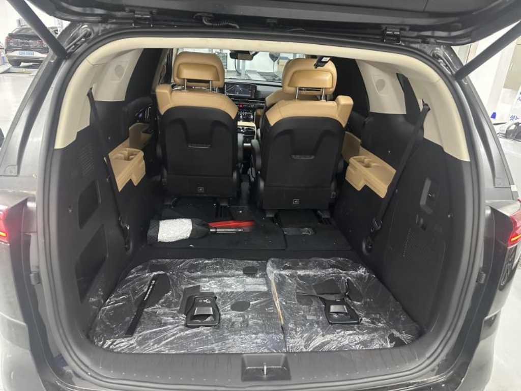 KIA Carnival - Vista 12