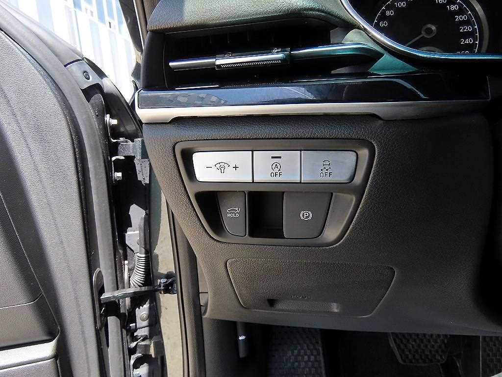 Genesis G80 - Vista 12