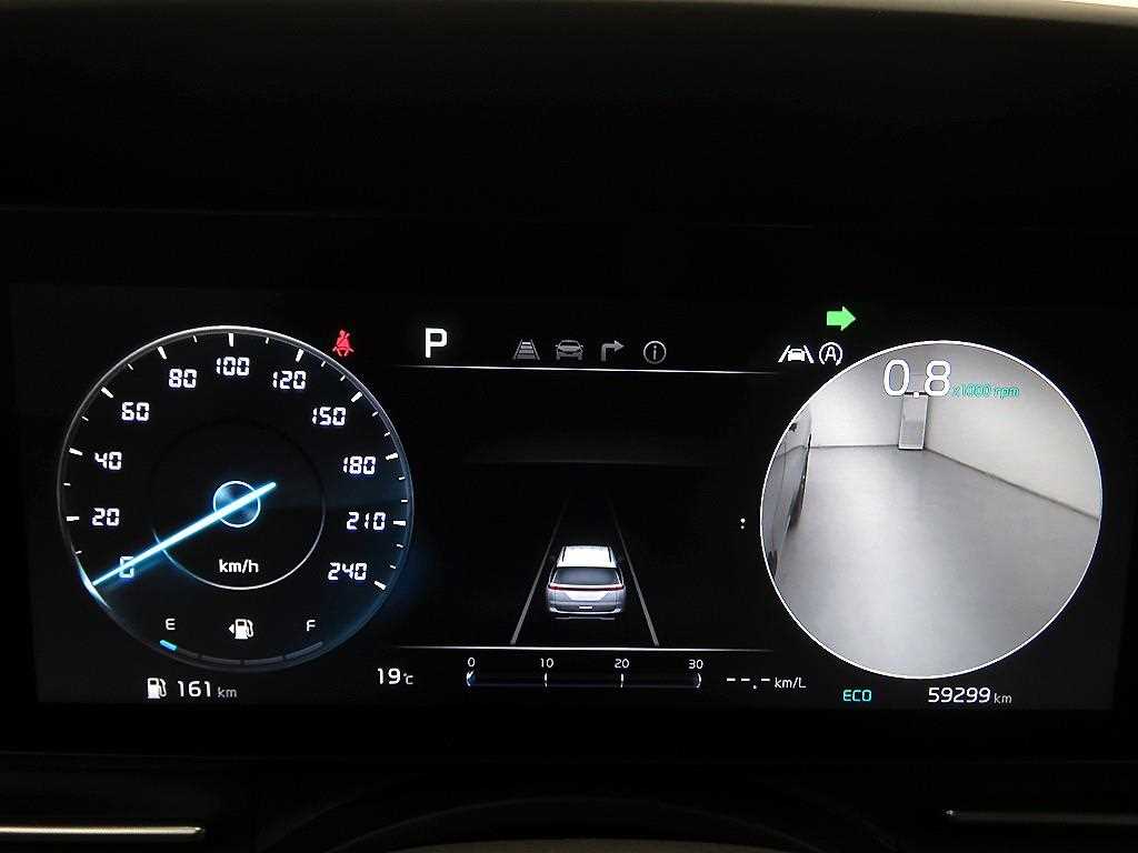 KIA Carnival - Vista 12