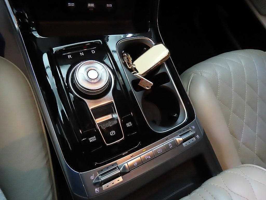 KIA Carnival - Vista 12