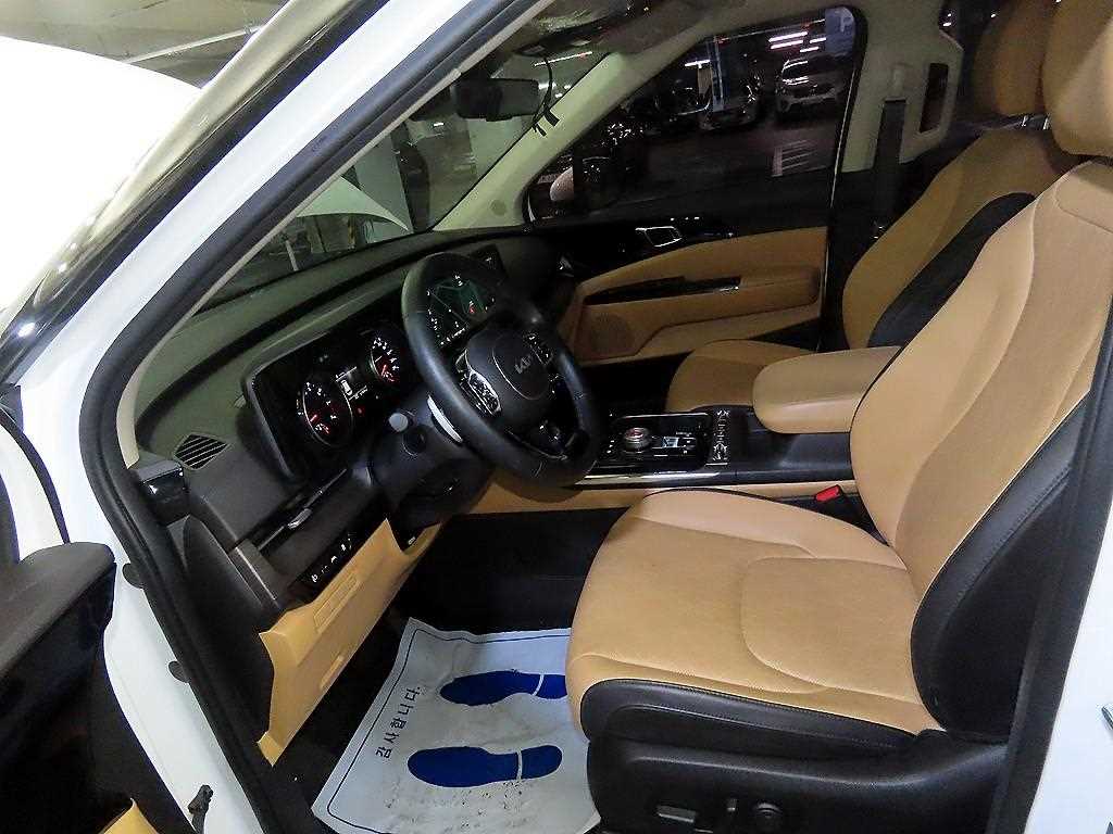 KIA Carnival - Vista 6