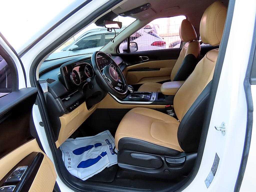 KIA Carnival - Vista 5