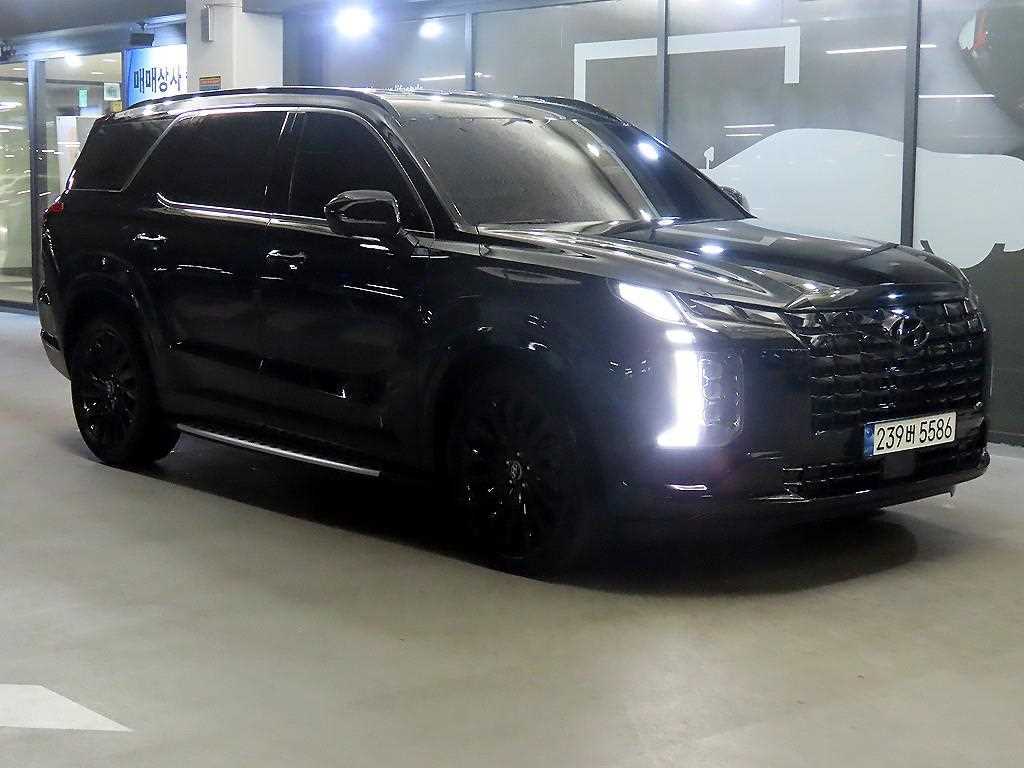 HYUNDAI Palisade - Vista 2