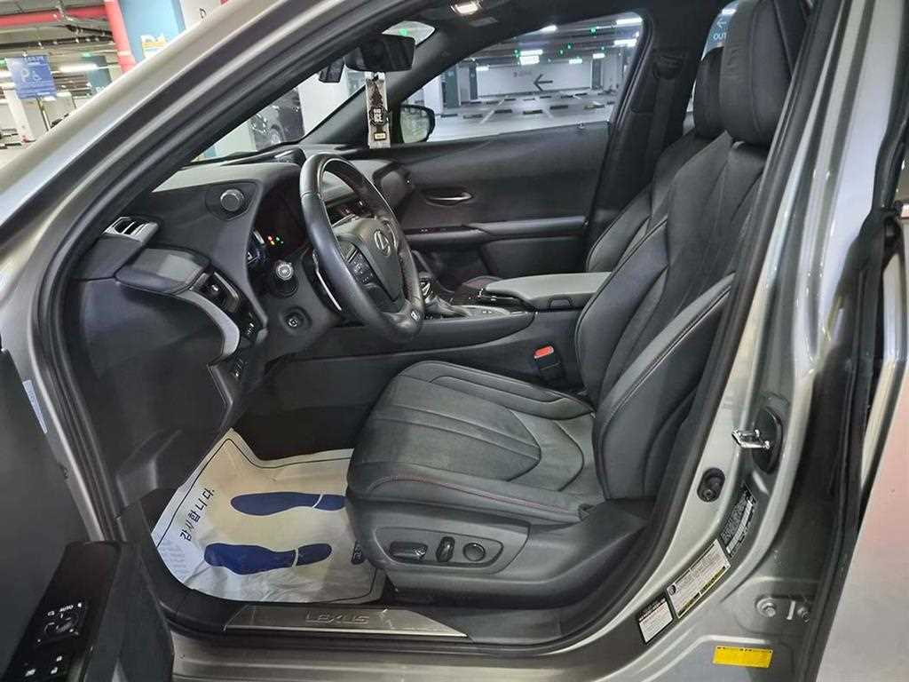 Lexus UX - Vista 6