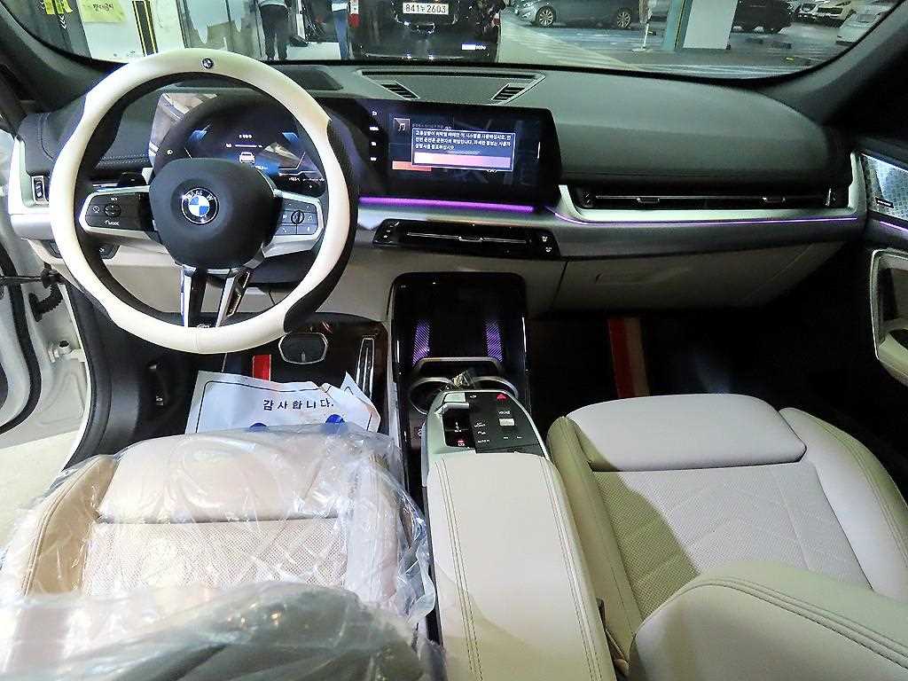 BMW X1 - Vista 10