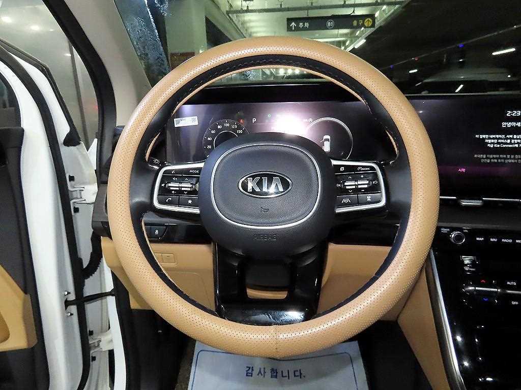 KIA Carnival - Vista 8