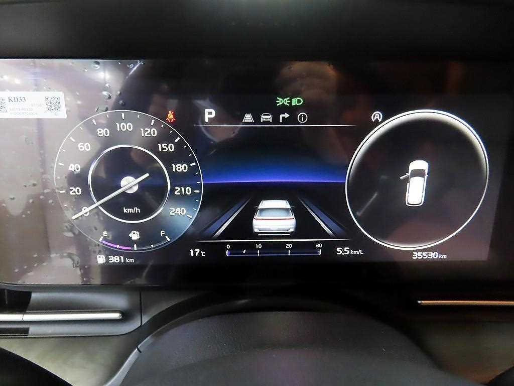 KIA Carnival - Vista 9