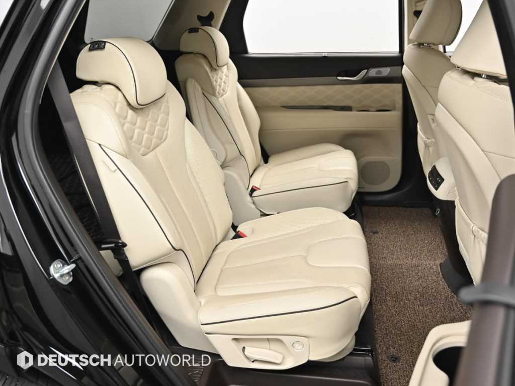 HYUNDAI Palisade - Vista 12