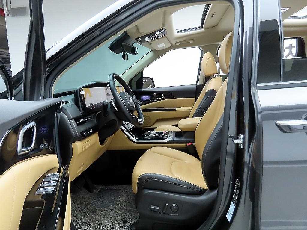 KIA Carnival - Vista 12