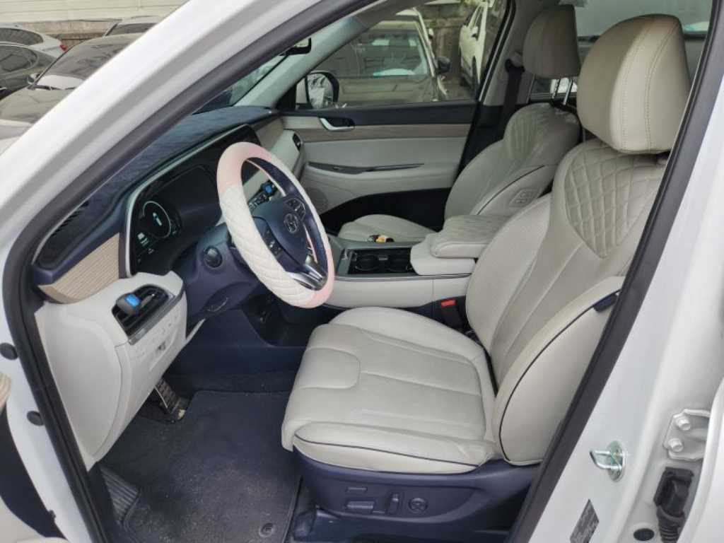 HYUNDAI Palisade - Vista 12