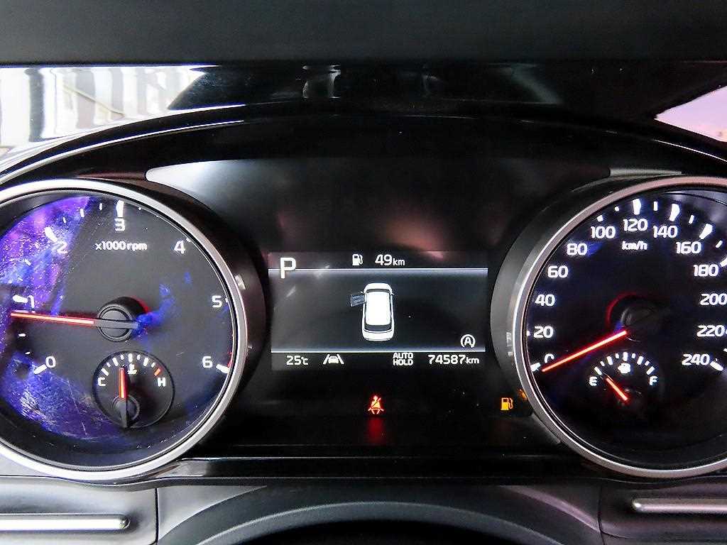 KIA Carnival - Vista 10
