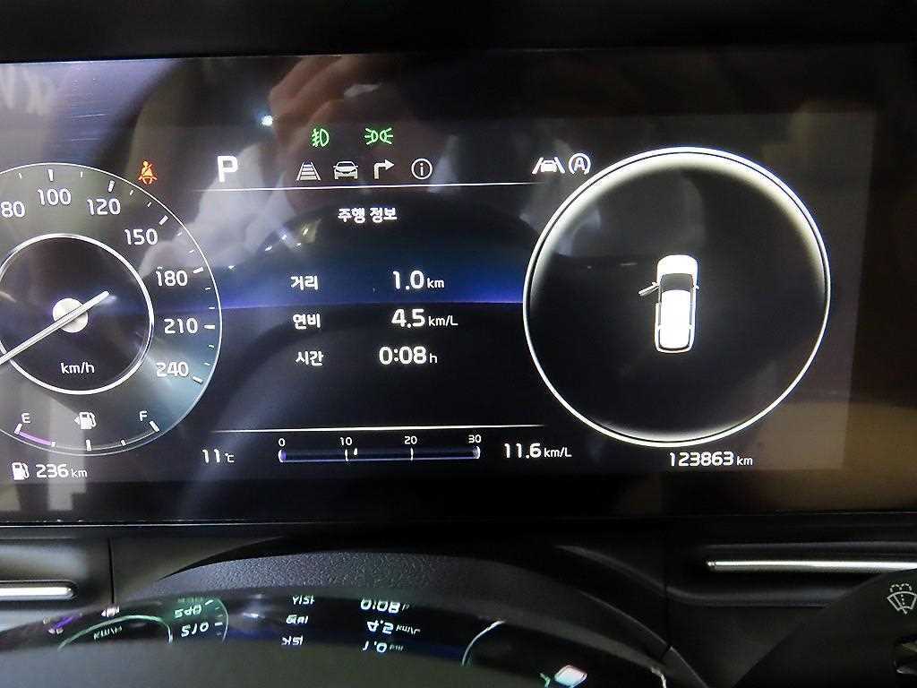 KIA Carnival - Vista 9