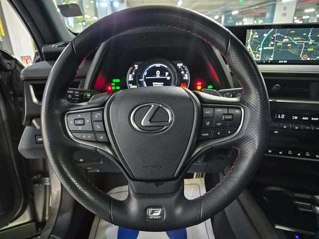 Lexus UX - Vista 8