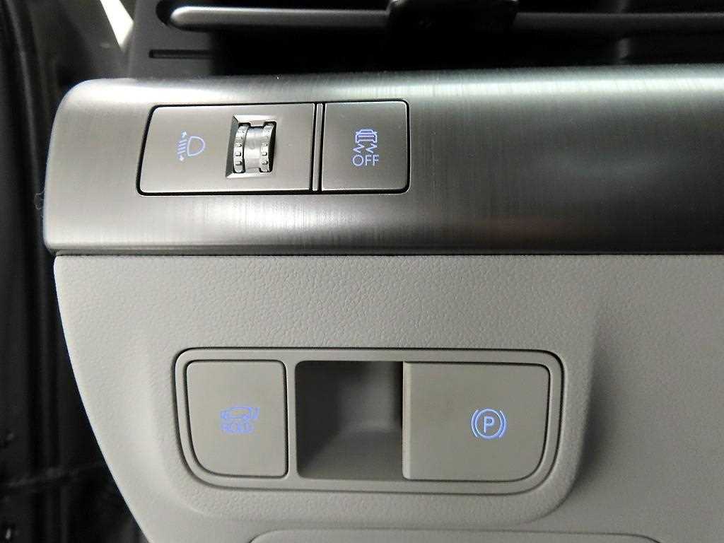 HYUNDAI Kona - Vista 12