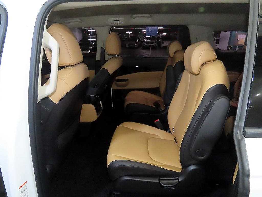 KIA Carnival - Vista 7