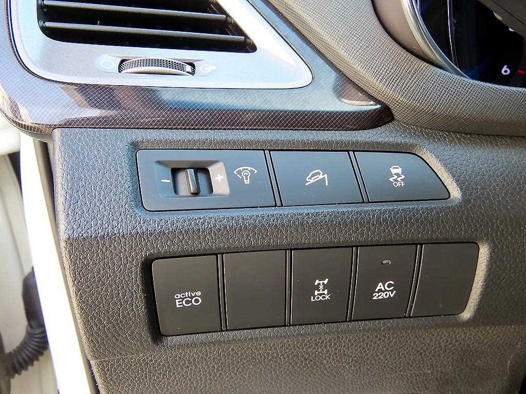 HYUNDAI Maxcruz - Vista 12