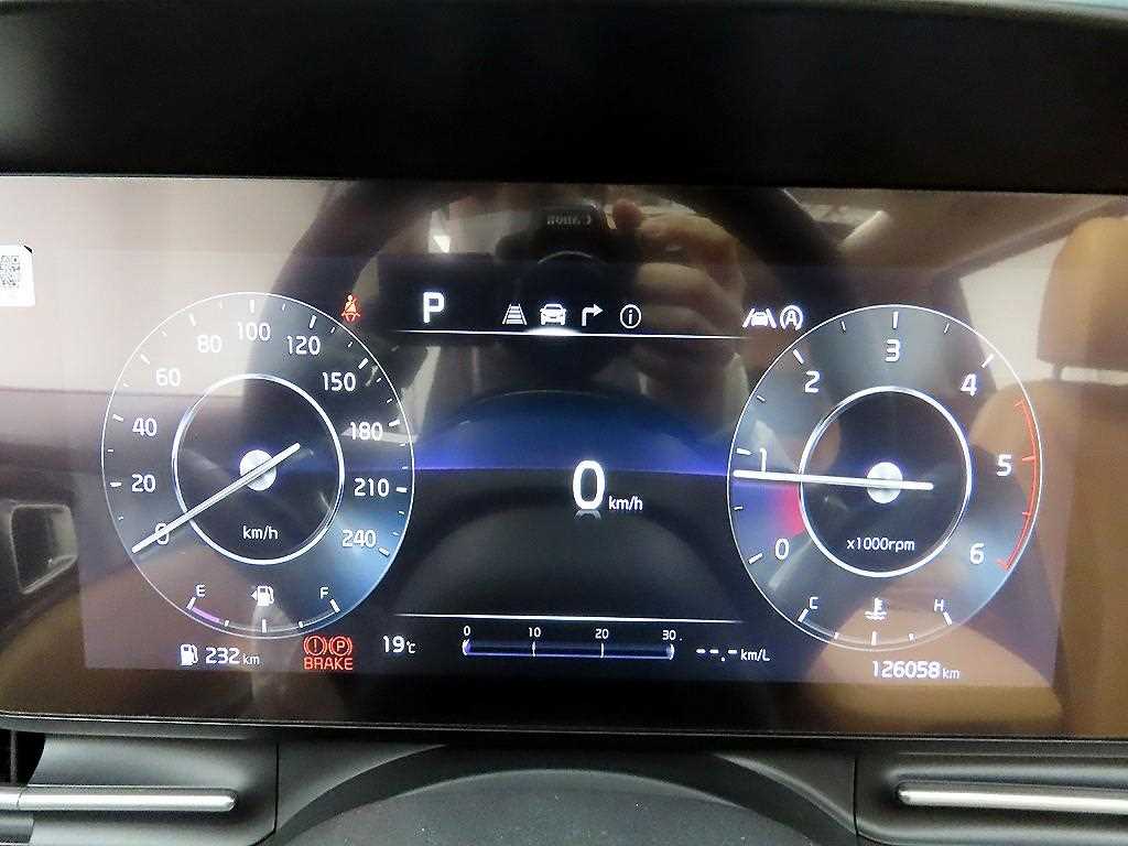 KIA Carnival - Vista 6