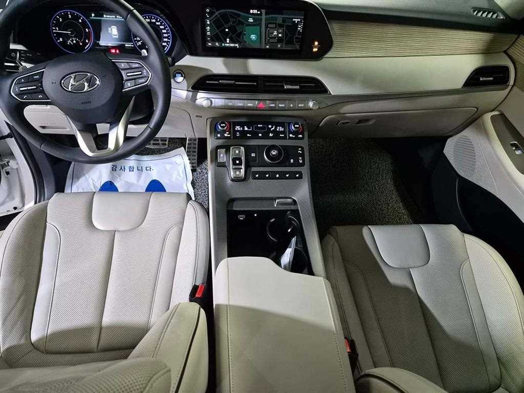 HYUNDAI Palisade - Vista 10