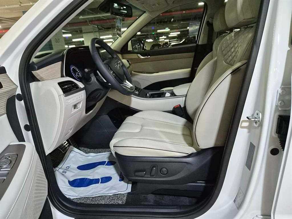 HYUNDAI Palisade - Vista 6