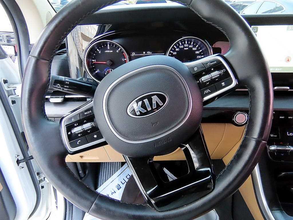 KIA Carnival - Vista 9