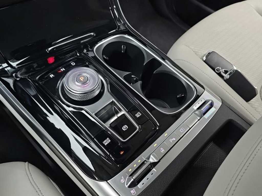 KIA Carnival - Vista 12