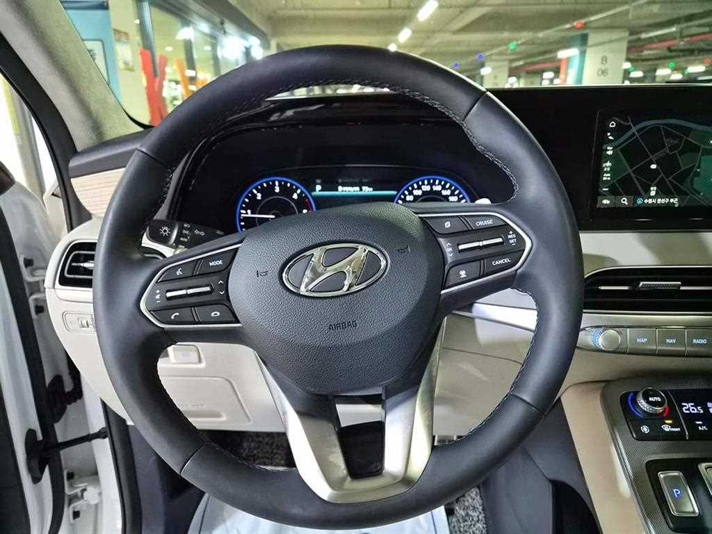 HYUNDAI Palisade - Vista 8