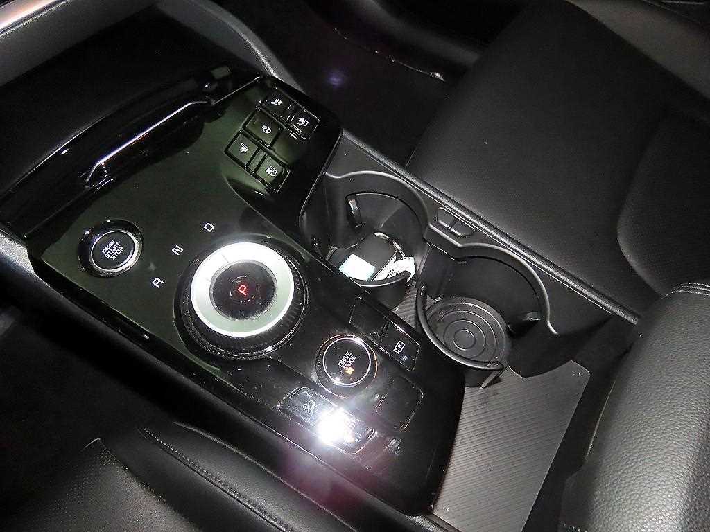KIA Sportage - Vista 12