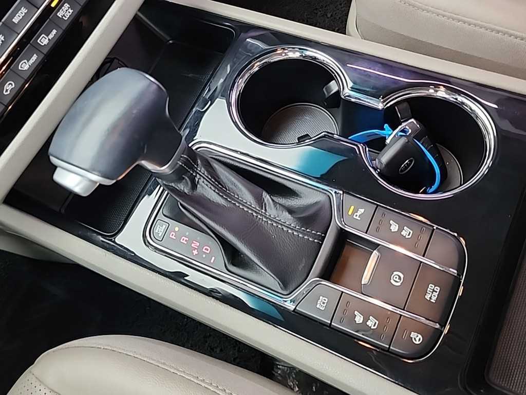 KIA Carnival - Vista 8