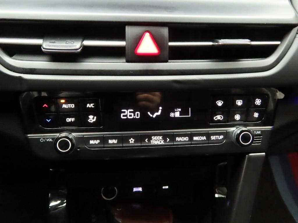 KIA Seltos - Vista 10