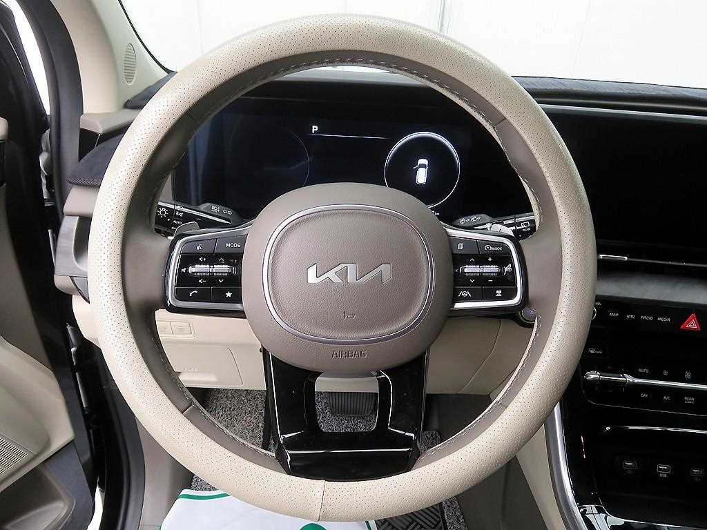 KIA Carnival - Vista 10