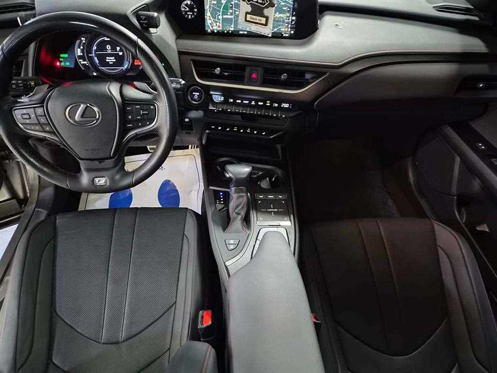 Lexus UX - Vista 10