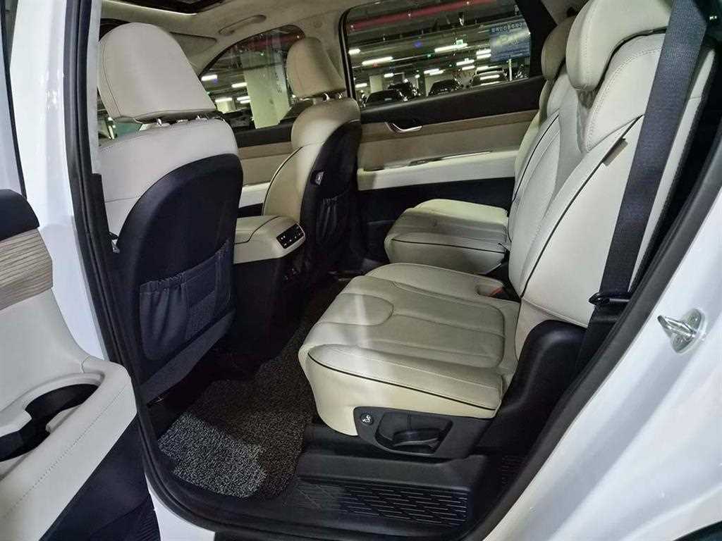 HYUNDAI Palisade - Vista 7