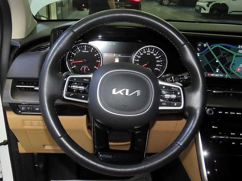 KIA Carnival - Vista 8