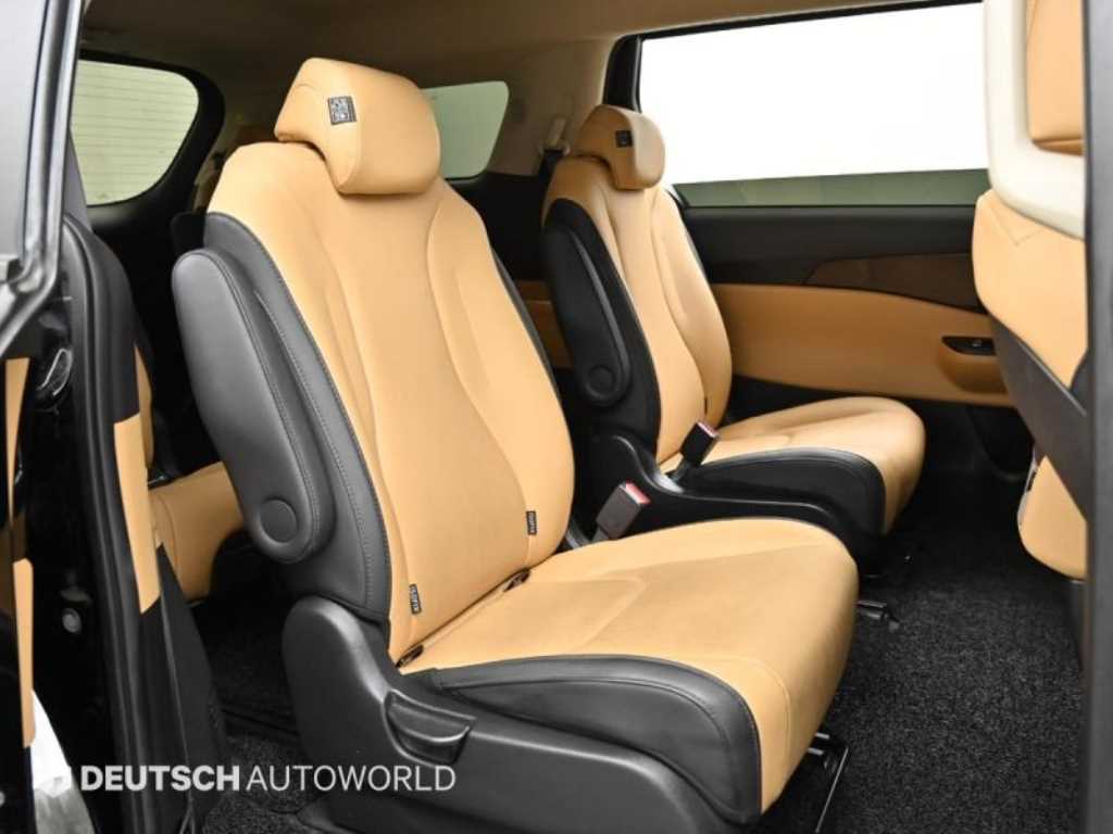 KIA Carnival - Vista 12