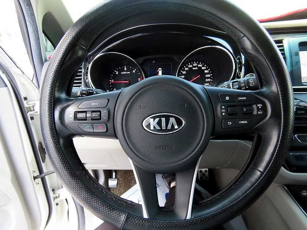 KIA Carnival - Vista 9