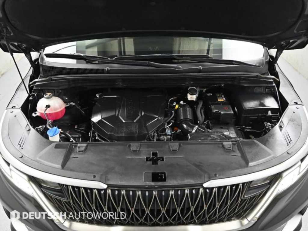 KIA Carnival - Vista 6