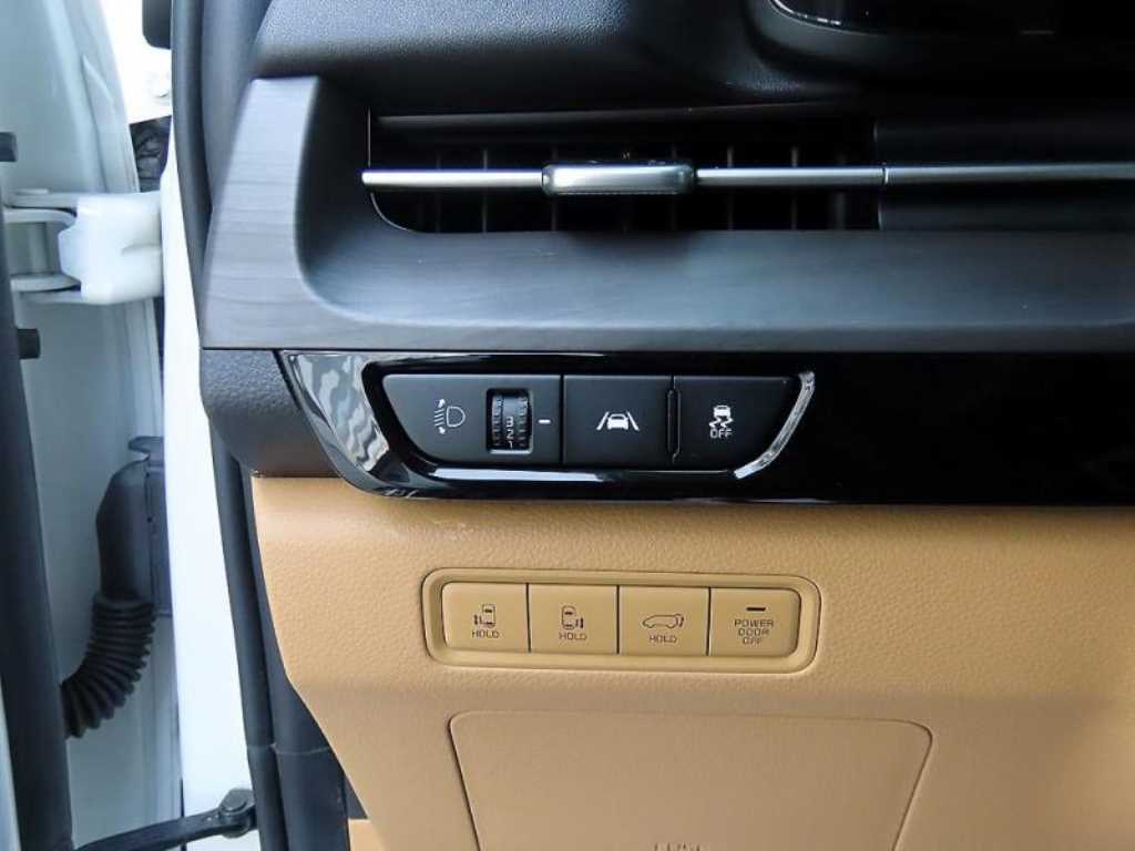 KIA Carnival - Vista 11