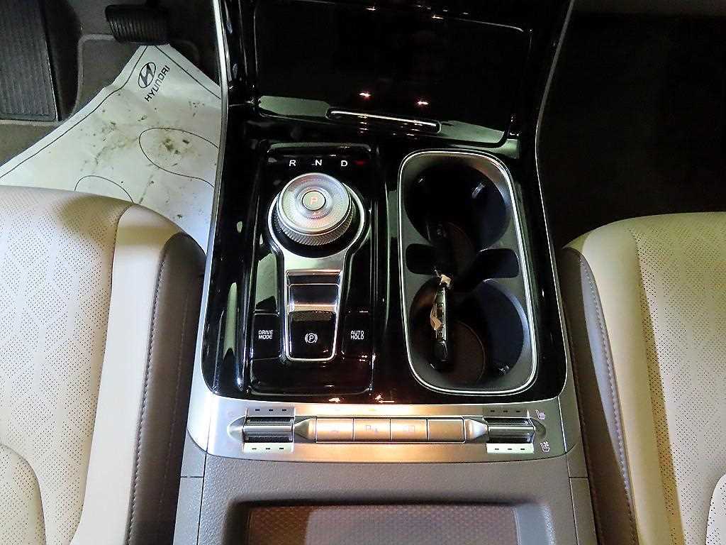 KIA Carnival - Vista 12